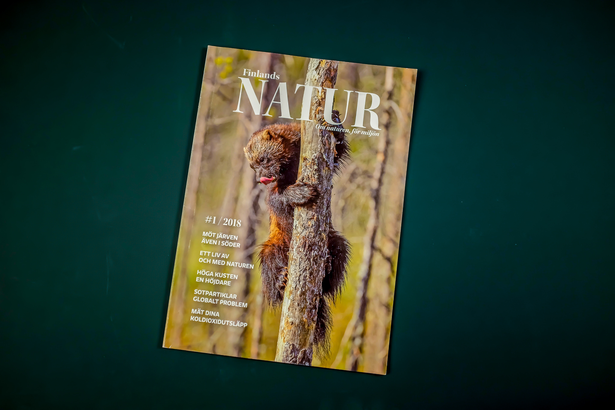Finlands Natur is a quarterly magazine published by the NGO Natur & Miljö. It's a blend of nature reportage and sustainable living interviews, redesigned to reflect this and appeal to an urban audience in spring 2018.